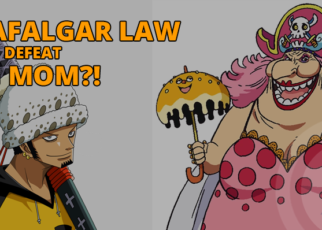 Trafalgar Law to Defeat Big Mom