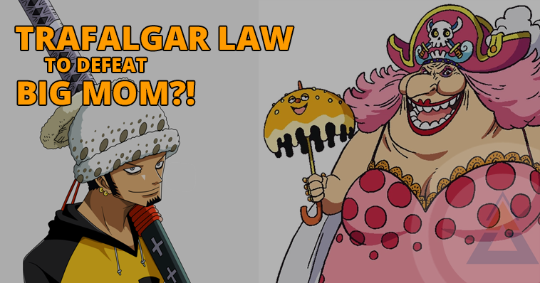 Trafalgar Law to Defeat Big Mom